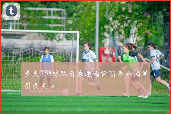 多支NBA球队有意邀请徐昕参加试训引发关注