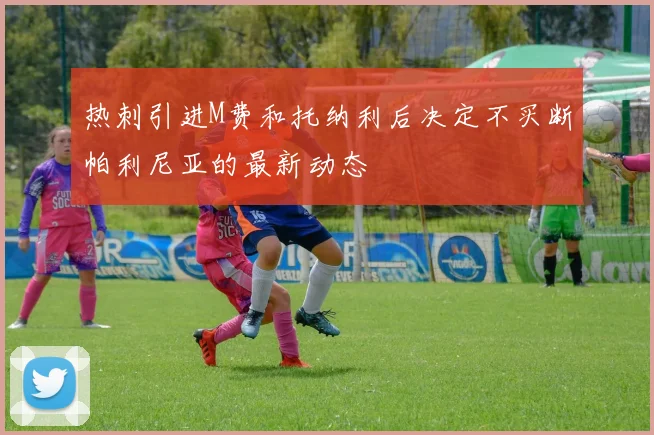 热刺引进M费和托纳利后决定不买断帕利尼亚的最新动态